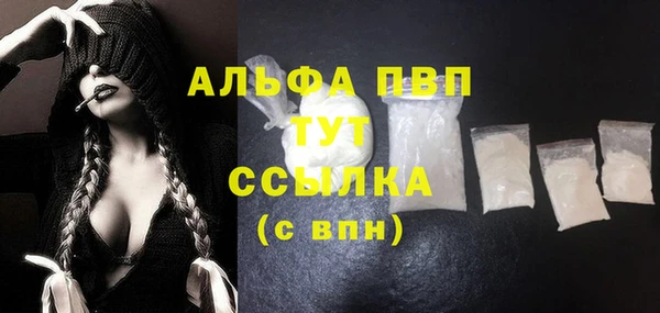 твердый Дмитровск