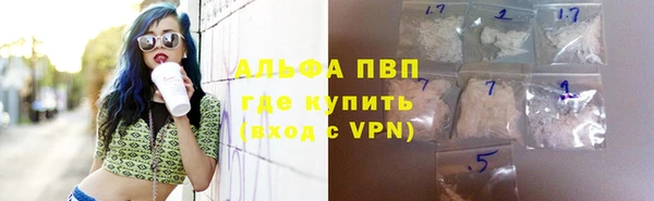 твердый Дмитриев