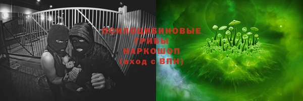 твердый Дмитриев