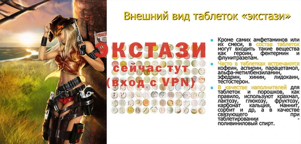 твердый Дмитровск