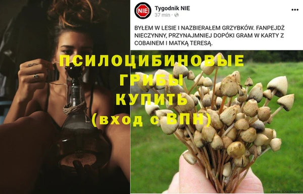 твердый Дмитровск