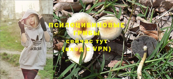твердый Дмитровск
