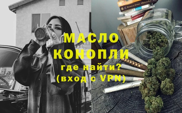твердый Дмитровск