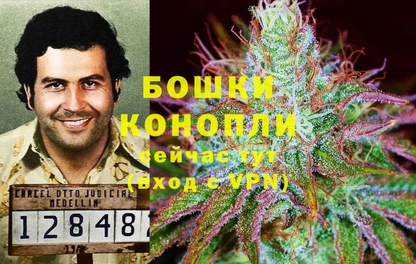 твердый Дмитриев