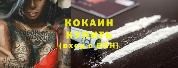 твердый Дмитриев