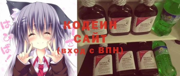 твердый Дмитровск